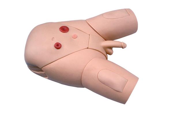男性導(dǎo)尿示教模型