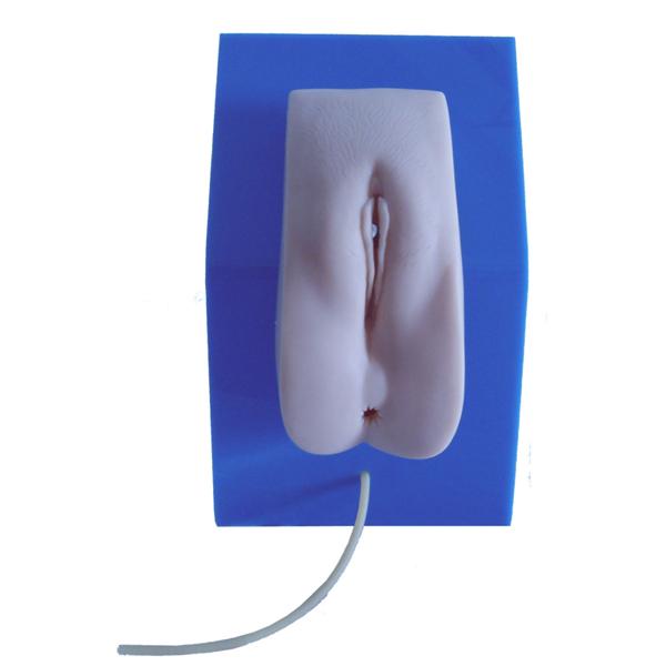 高級(jí)著裝式女性導(dǎo)尿模型