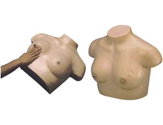 <b>高級乳腺視診與觸診模型</b>