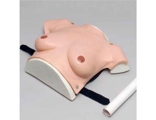 高級著裝式乳房自檢模型
