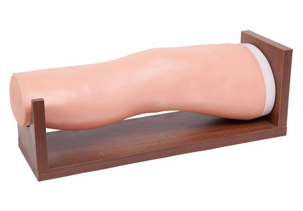 膝關(guān)節(jié)腔內(nèi)注射模型