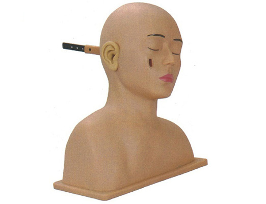 高級(jí)耳診斷模型
