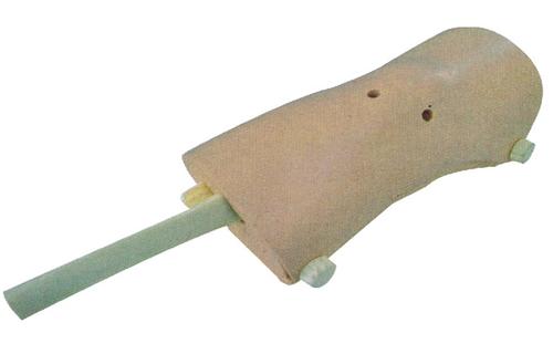 膝關(guān)節(jié)鏡檢查模型