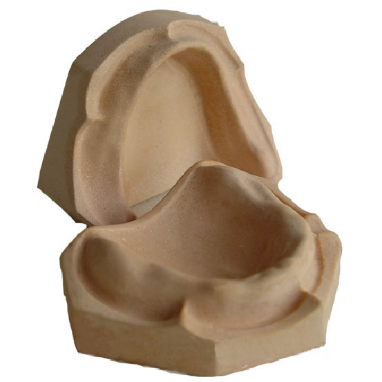 <b>無(wú)牙頜石膏模型</b>