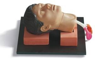環(huán)甲膜穿刺和切開訓(xùn)練仿真模型