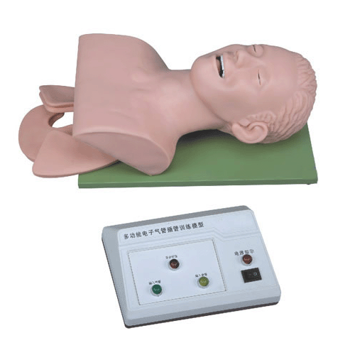 電子人體氣管插管訓練模型（帶報警）