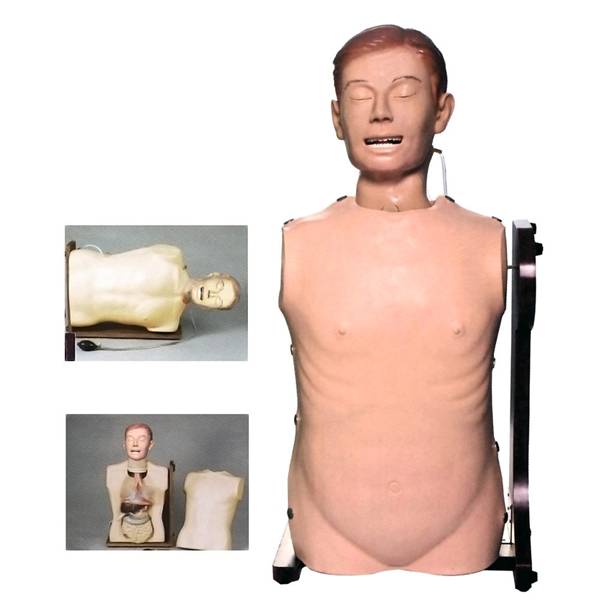 高級(jí)鼻胃管與氣管護(hù)理模型