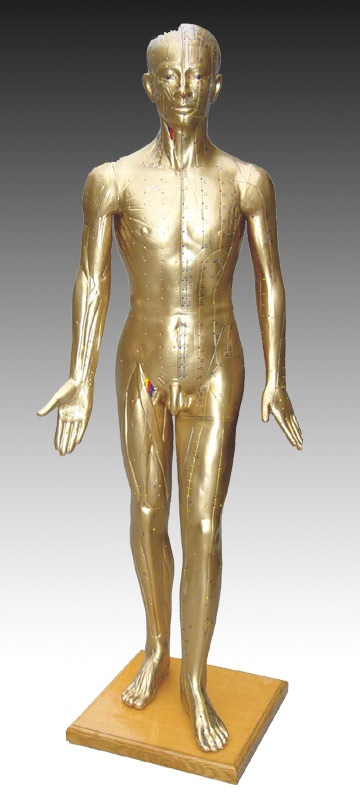 <b>人體針灸銅人 178CM（青銅色）</b>